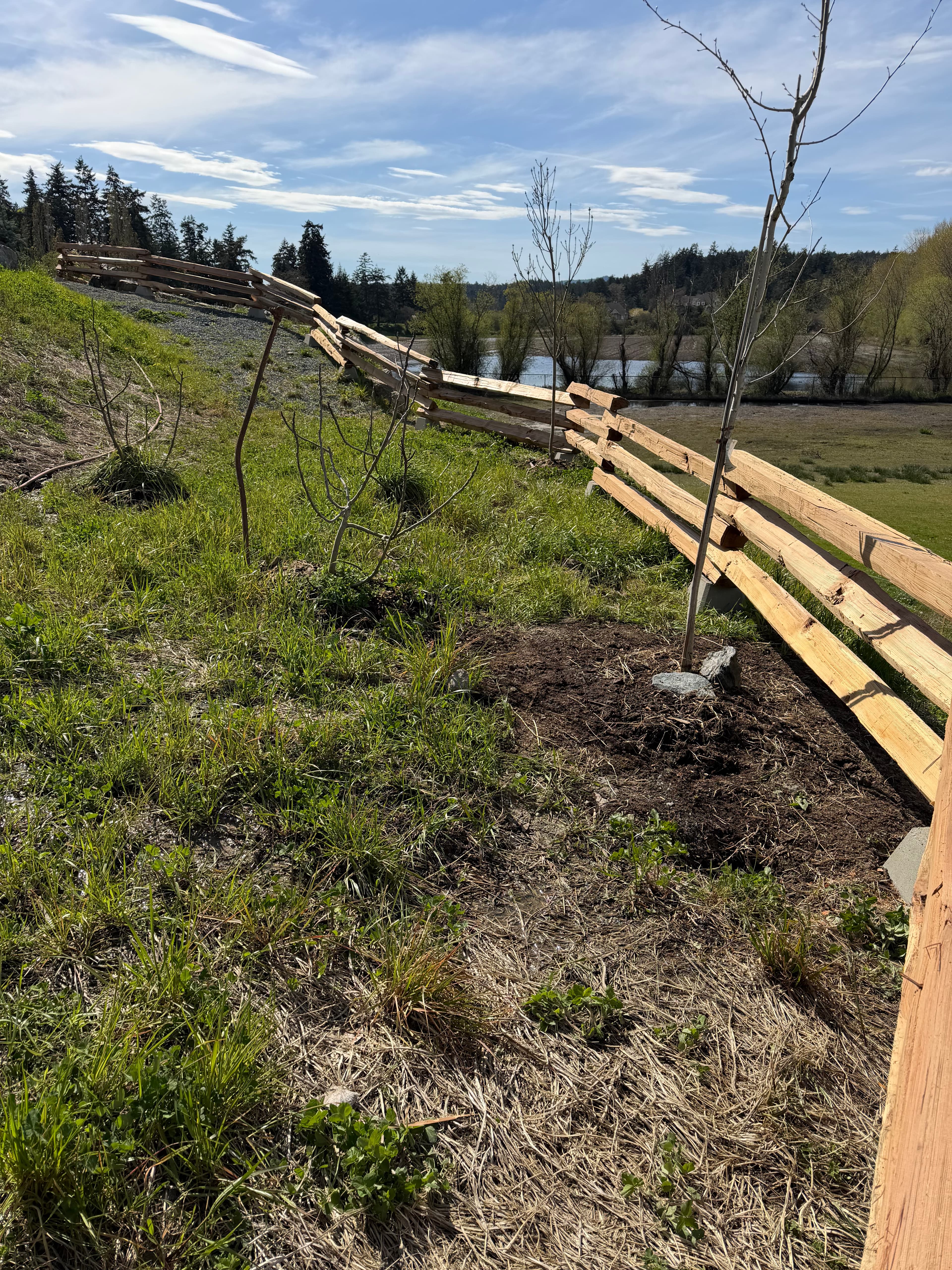 Cedar Rail Fence