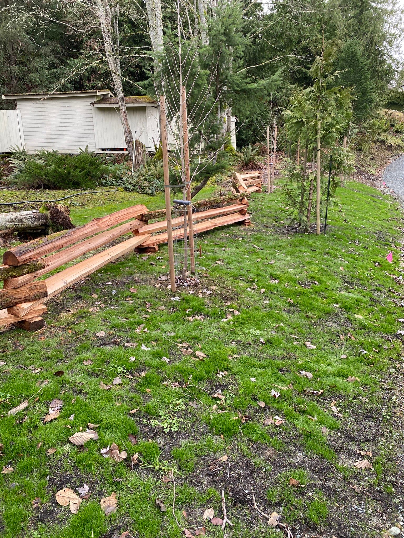 Cedar Fence — Completed