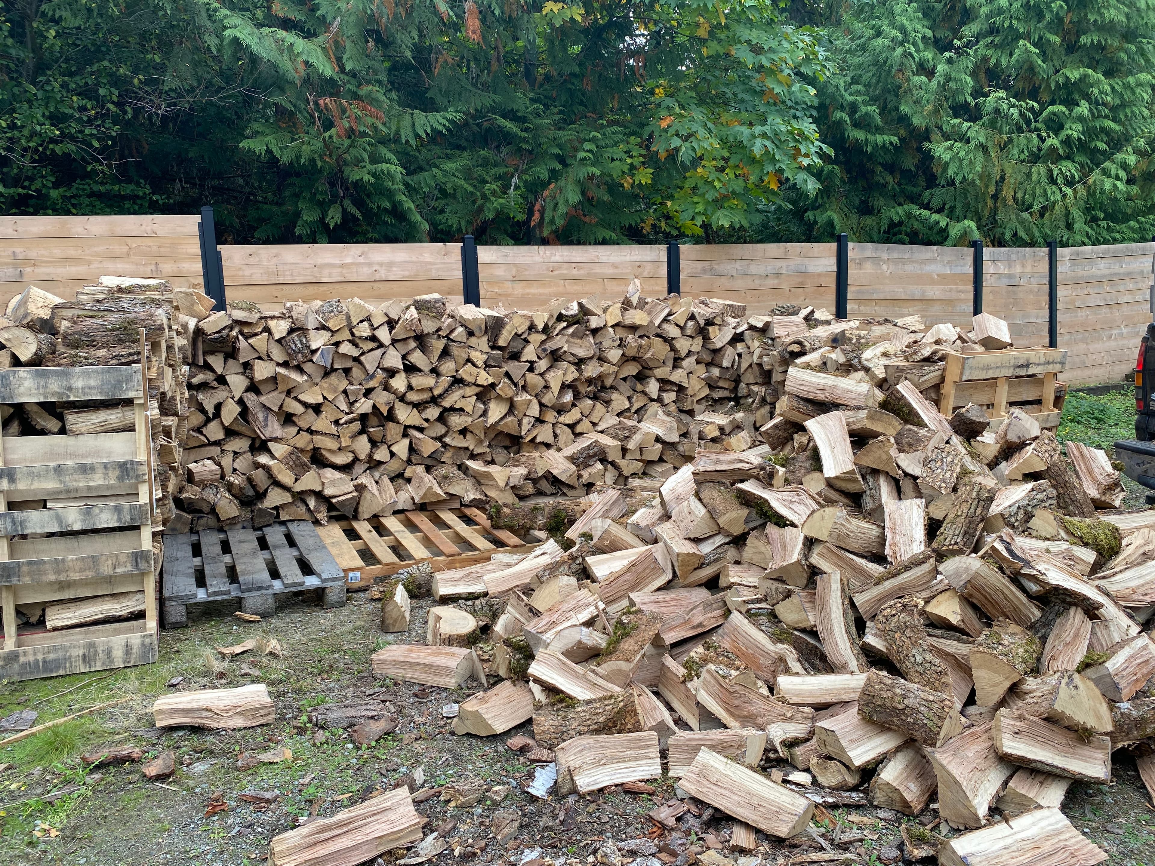 Split Firewood — Ready