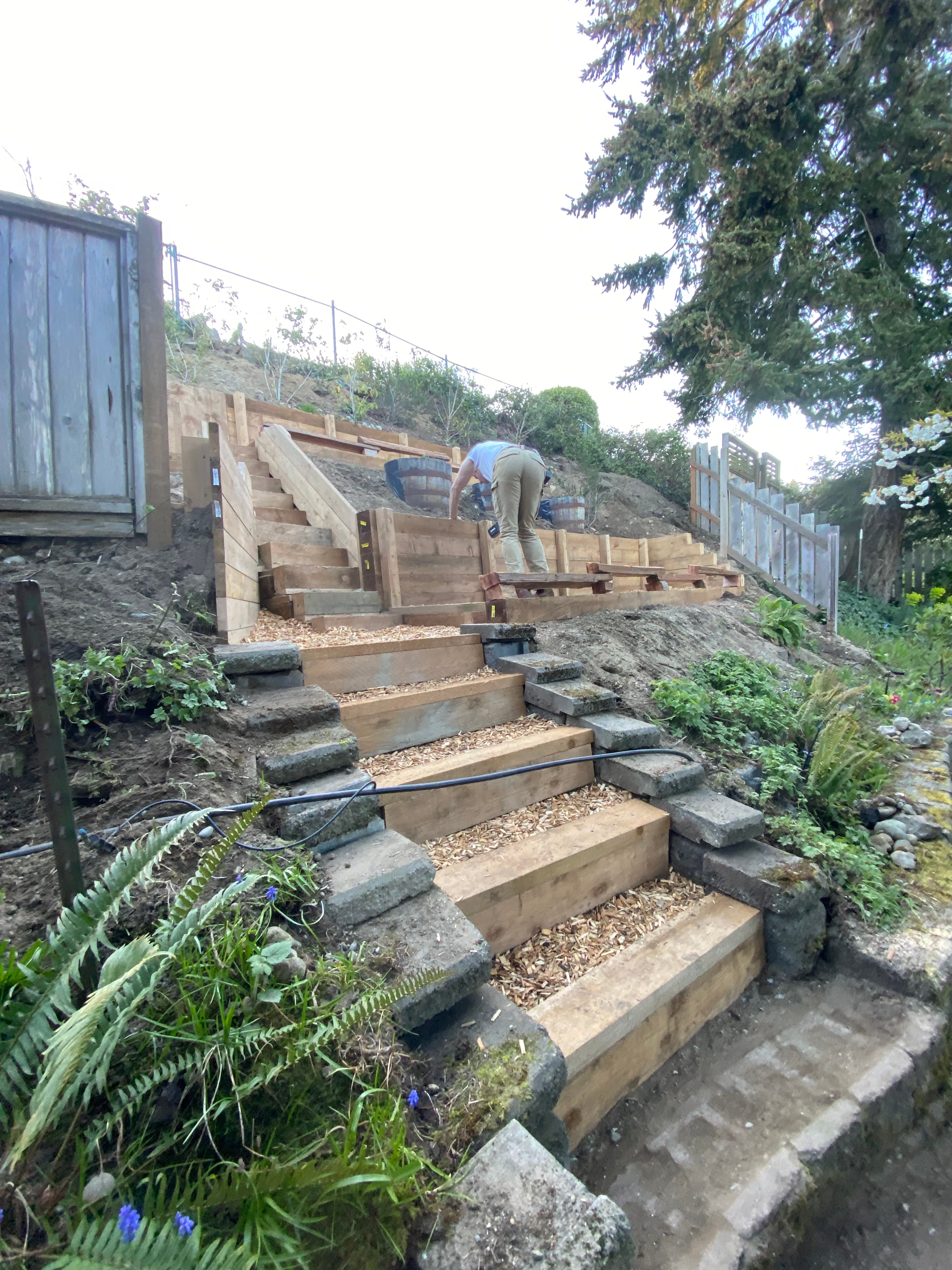 Cedar Landscape Borders